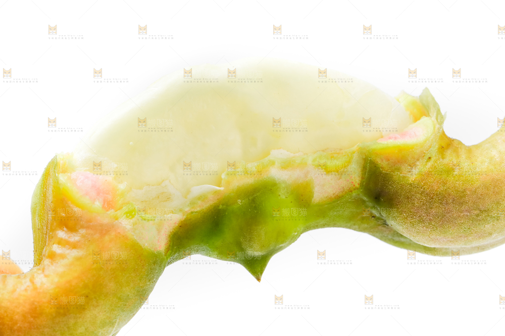 浅底上的新鲜菱角