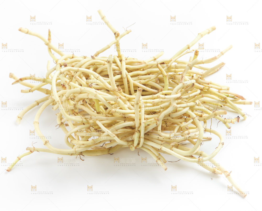 白底上的鱼腥草