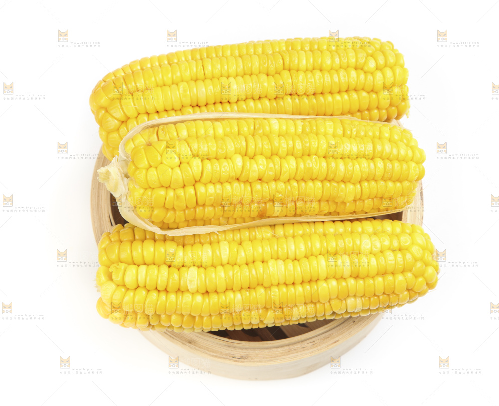 白底上的玉米棒