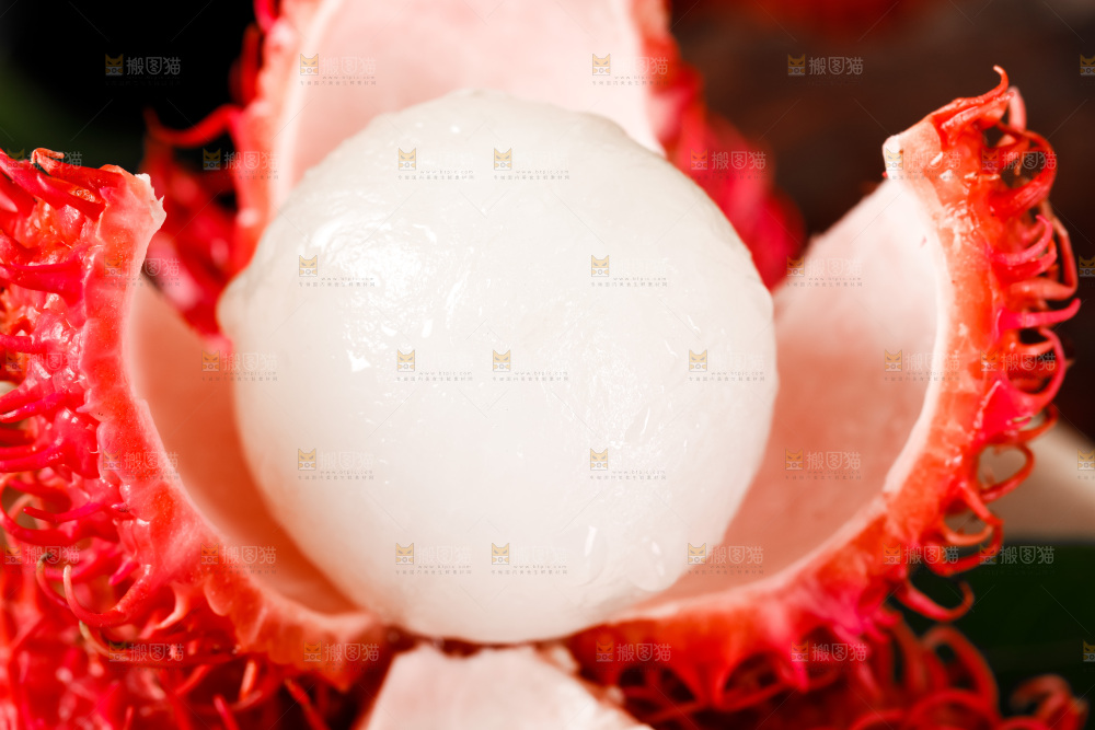 深底上的海南红毛丹