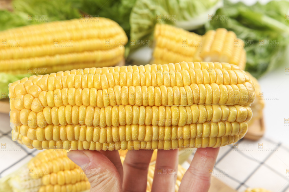 手里拿着新鲜玉米
