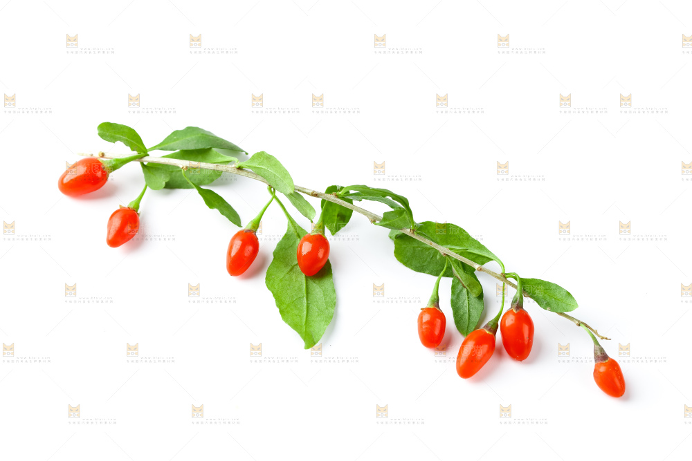 白底上放着枸杞