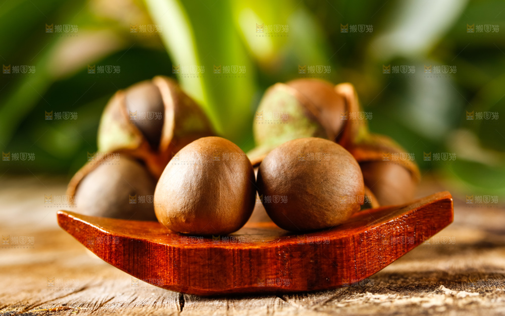 深底上的茶树果