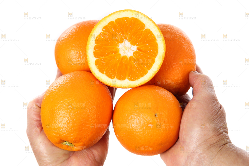 手里拿着长虹脐橙