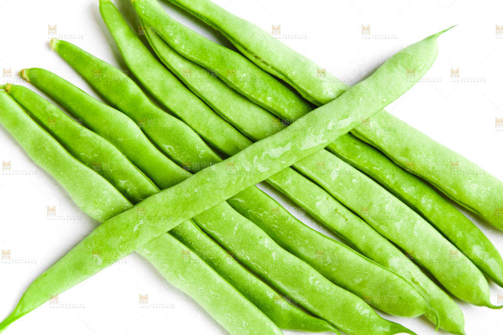白底上的四季豆
