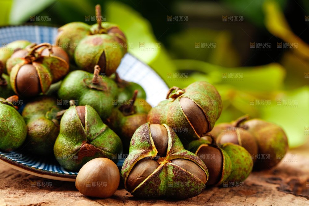 深底上的茶树果