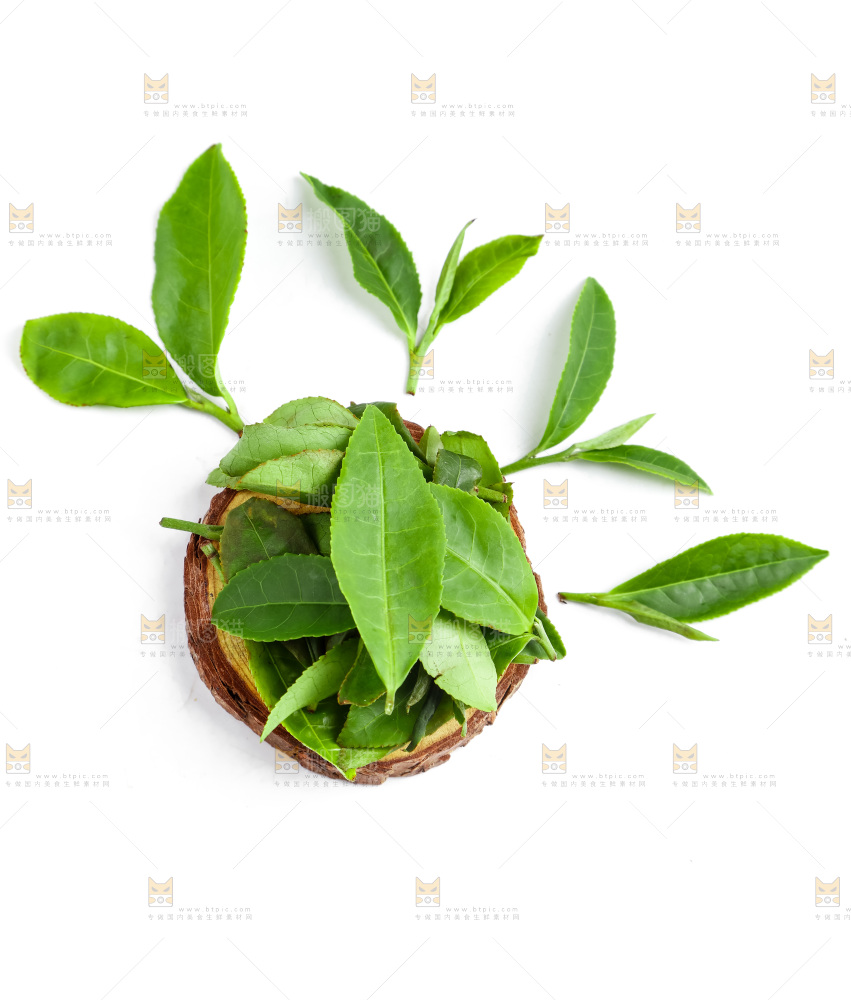 白底上放着绿茶叶