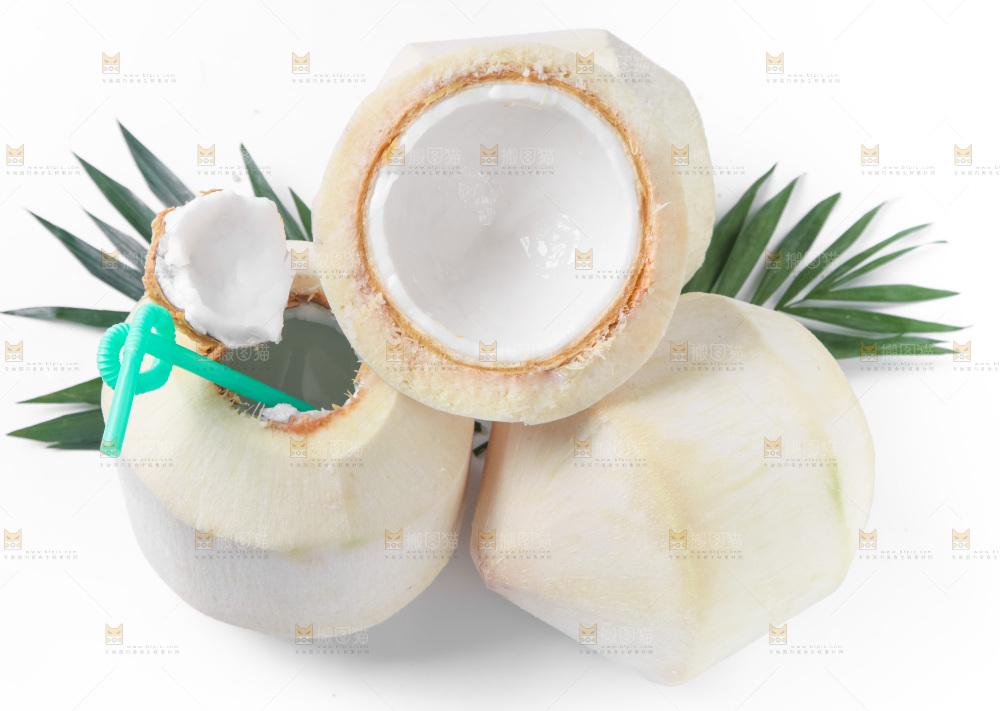 白底上青椰子