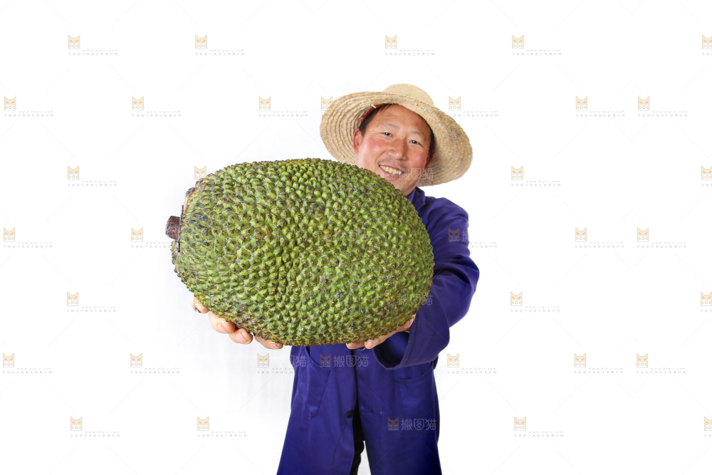 农民手里拿着菠萝蜜