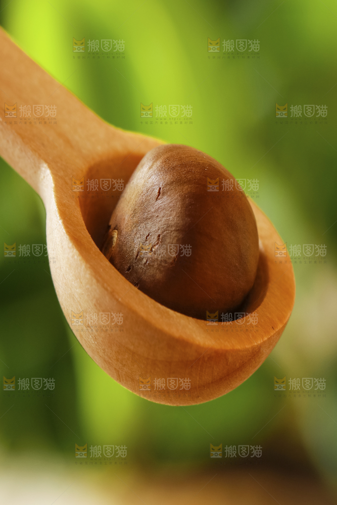 深底上的茶树果