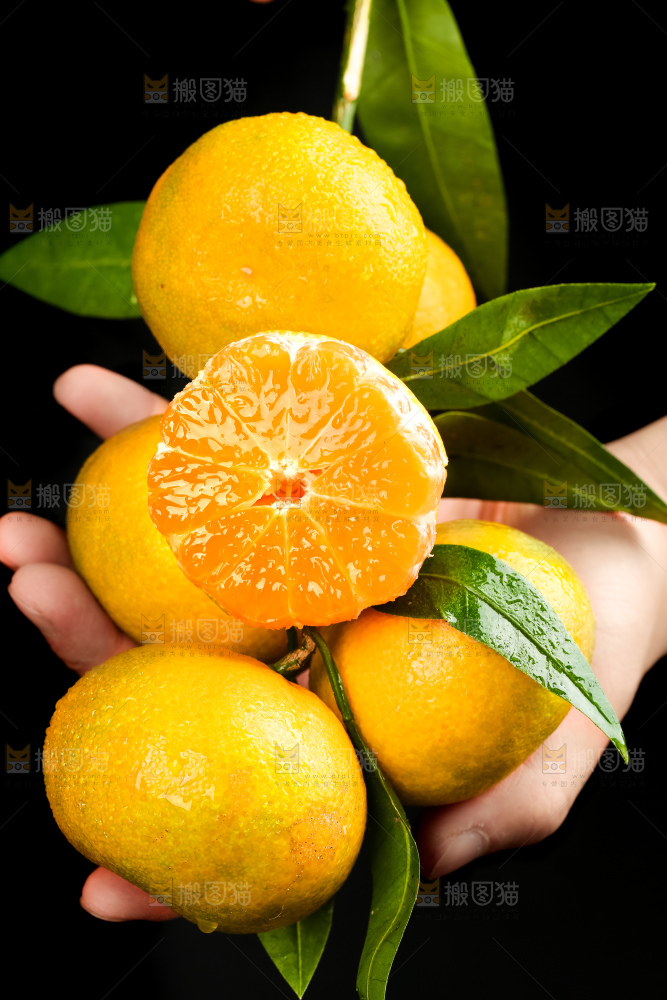 手上捧着皇帝柑