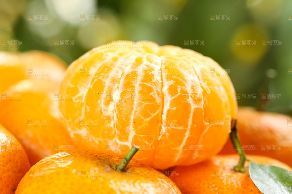 篮子里装着广西砂糖橘