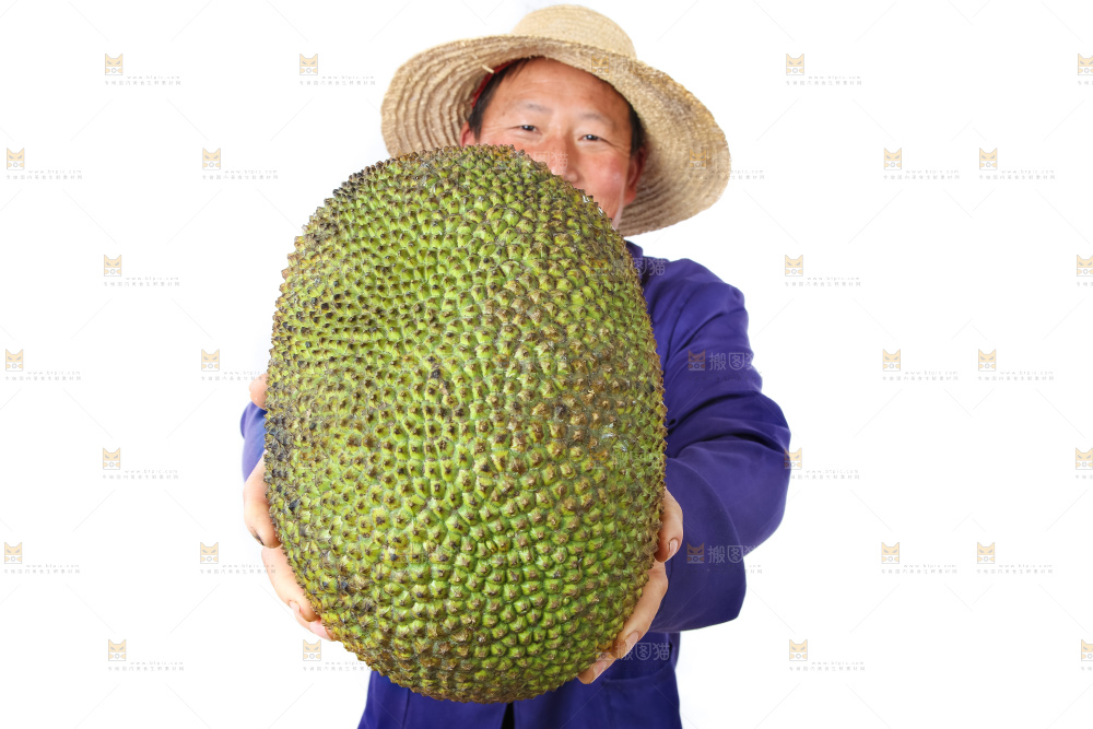 农民手里拿着菠萝蜜