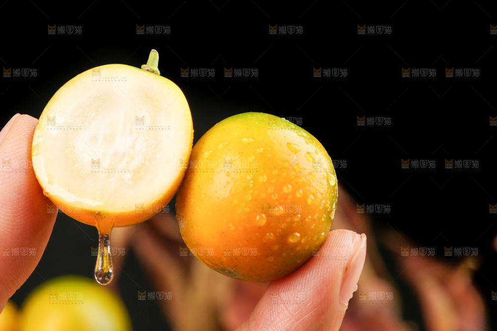 手里拿着新鲜金桔