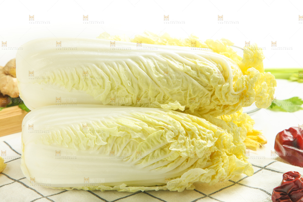 白格子底上的大白菜