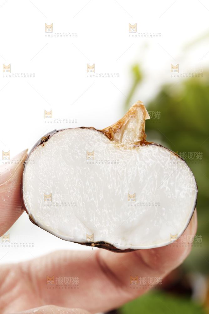 手里拿着菩荠