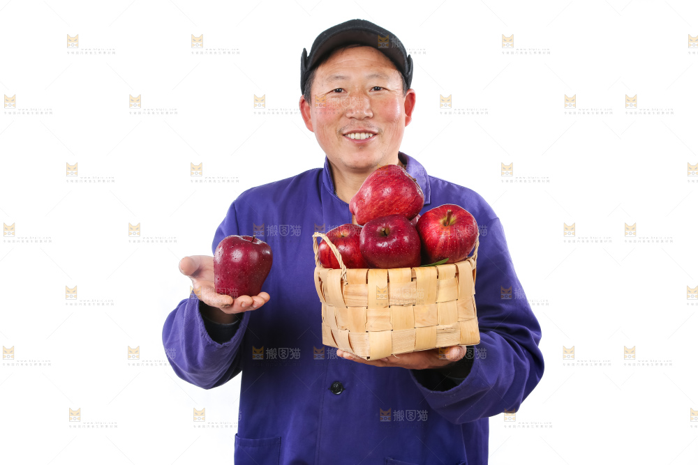 农民手里拿着天水花牛苹果