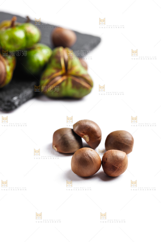 白底上放着茶树果