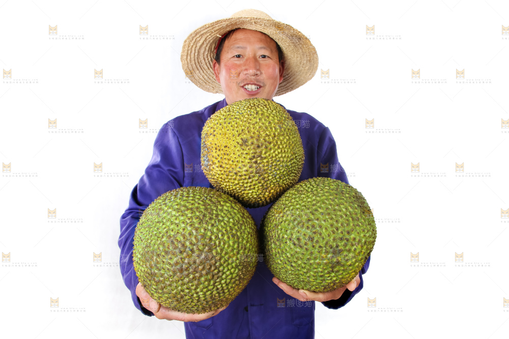 农民手里拿着菠萝蜜