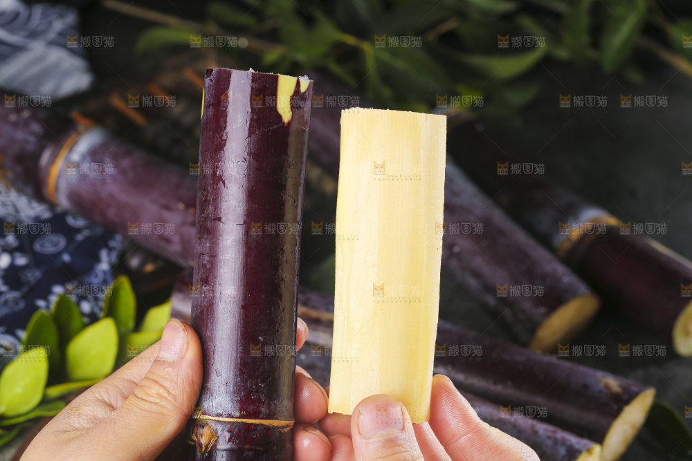 深底上放着黑皮甘蔗