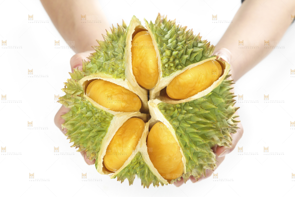 白底上放着泰国金枕榴莲
