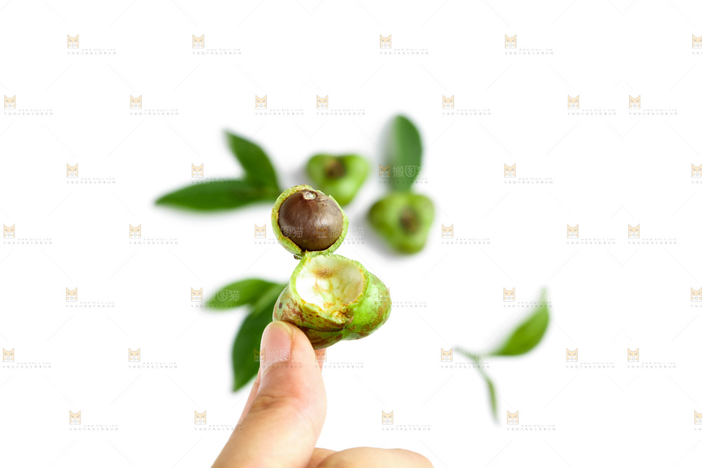白底上放着绿茶叶