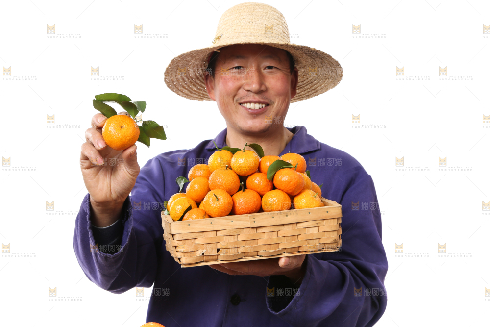 农民手里捧着广西砂糖橘