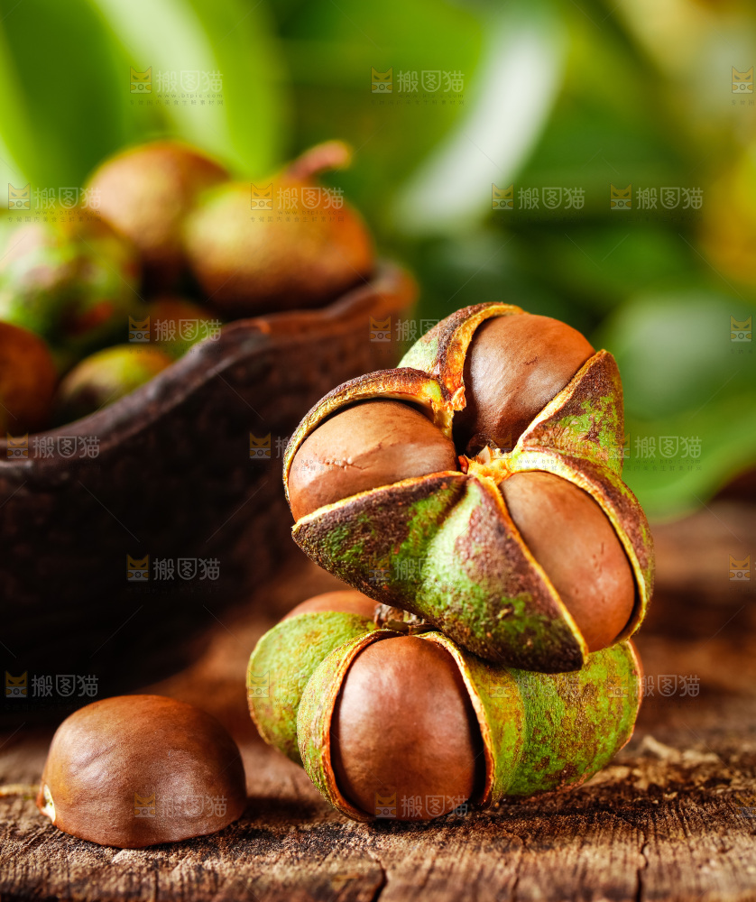 深底上的茶树果