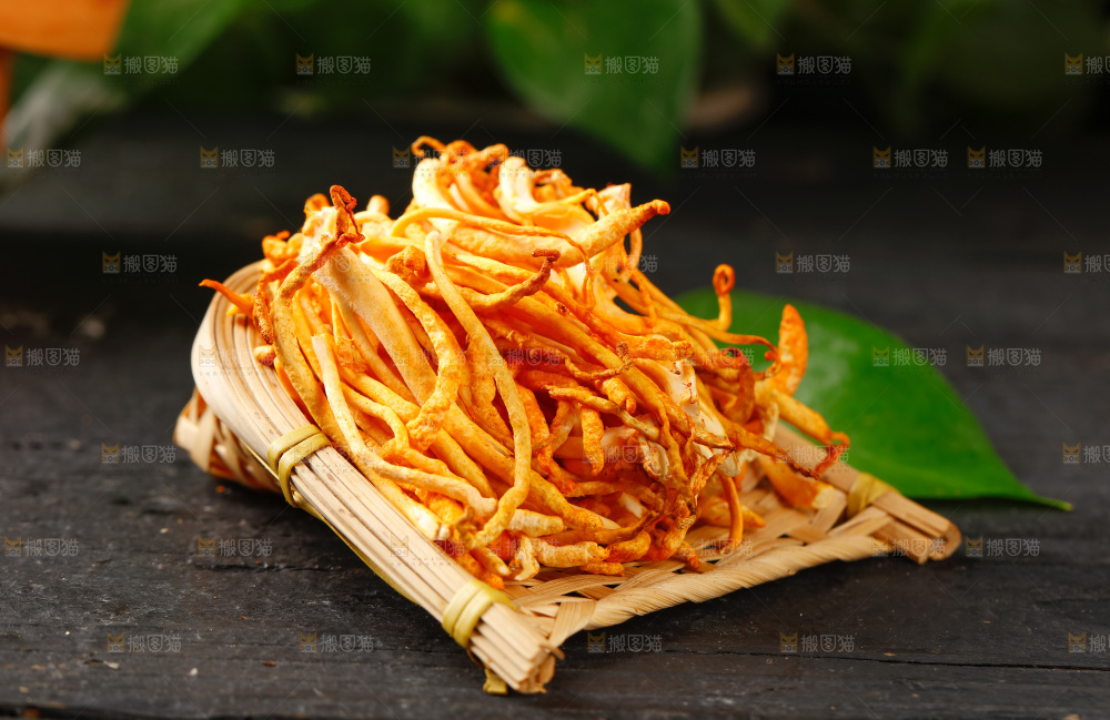 深底上的虫草花