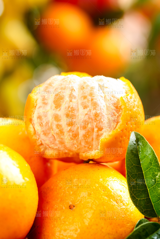 黄底上的椪柑橘