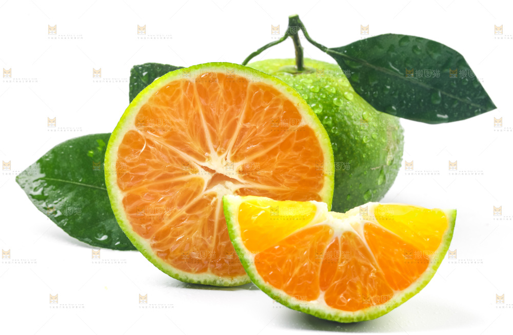 白底上的新鲜蜜橘