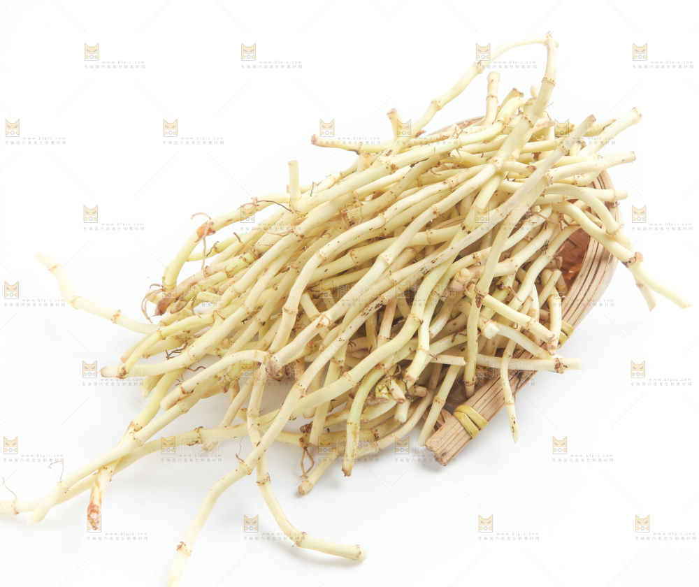 白底上的鱼腥草