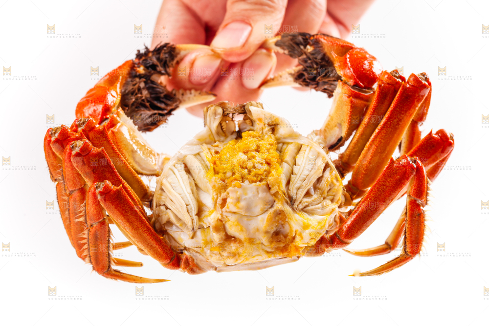 手里拿着清蒸螃蟹