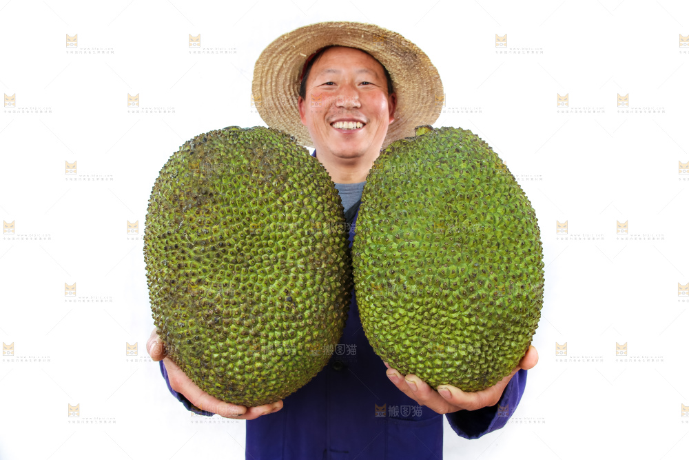 农民手里拿着菠萝蜜