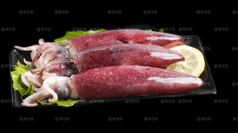 黑底上的鱿鱼