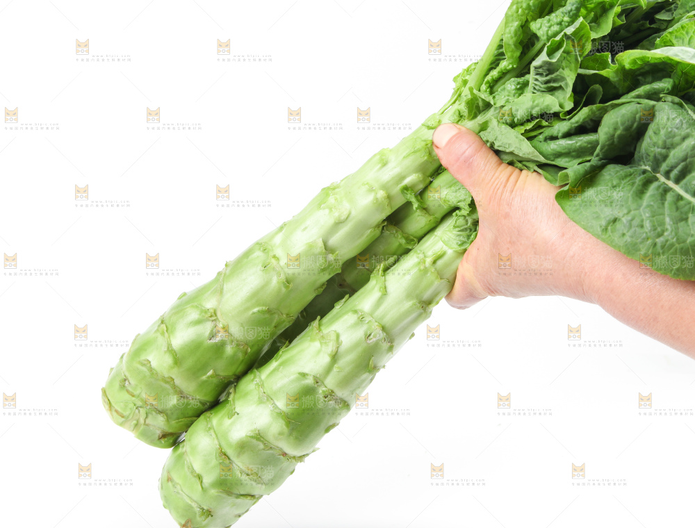 白底上放着新鲜莴笋