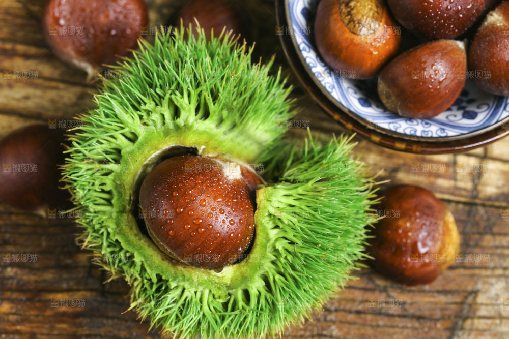 板栗