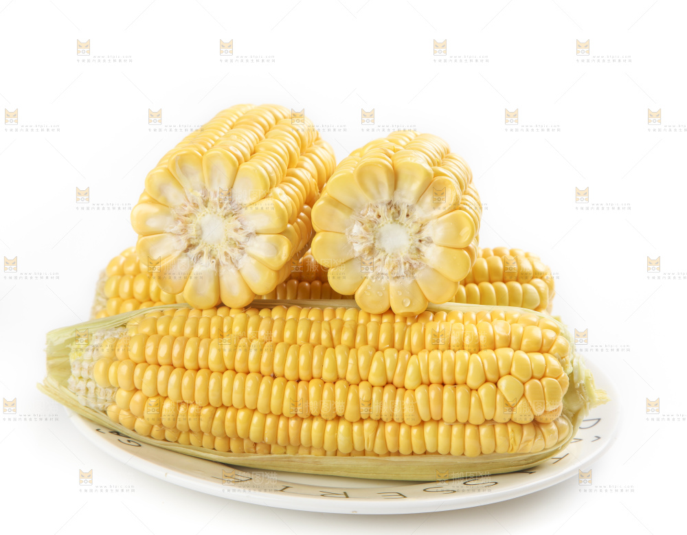 白底上的新鲜玉米