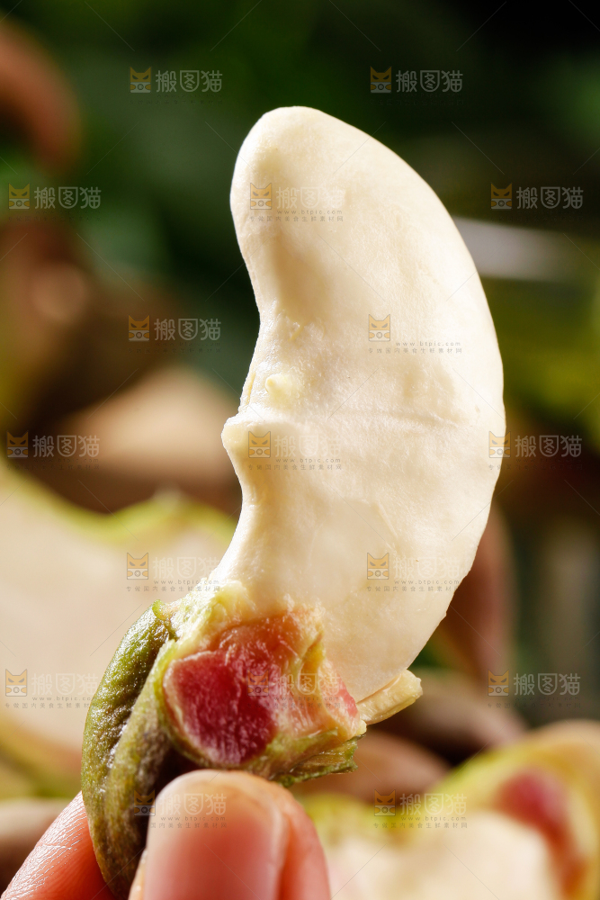 手里拿着新鲜菱角