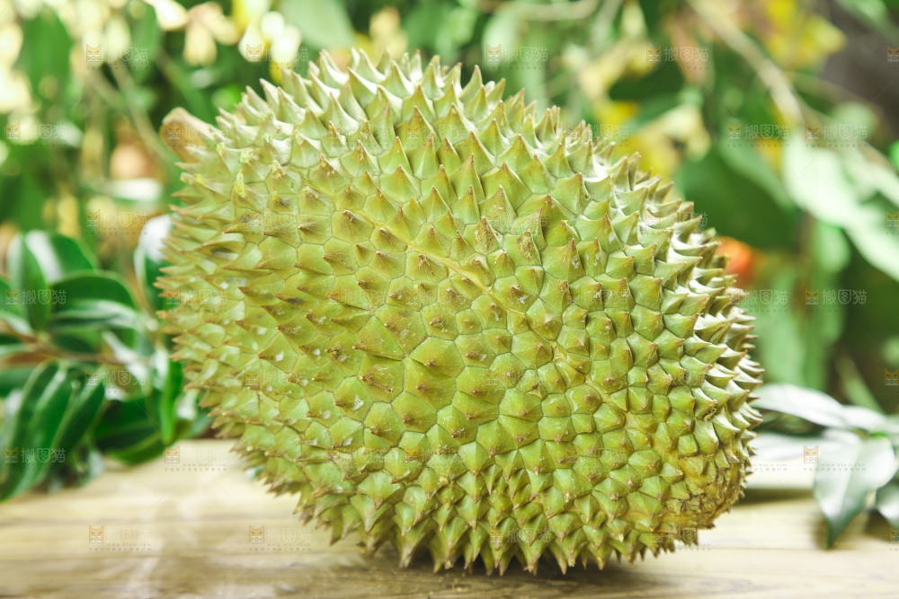 木板上的金枕头榴莲