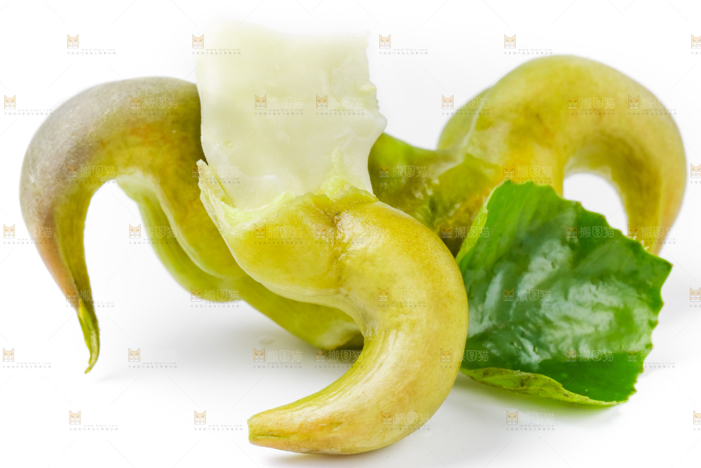 白底上放着洪湖菱角