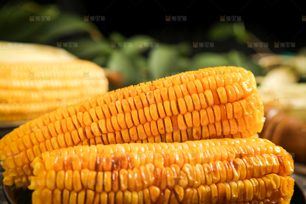 盘子里装烤玉米
