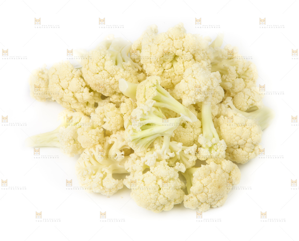 白底上的白花菜
