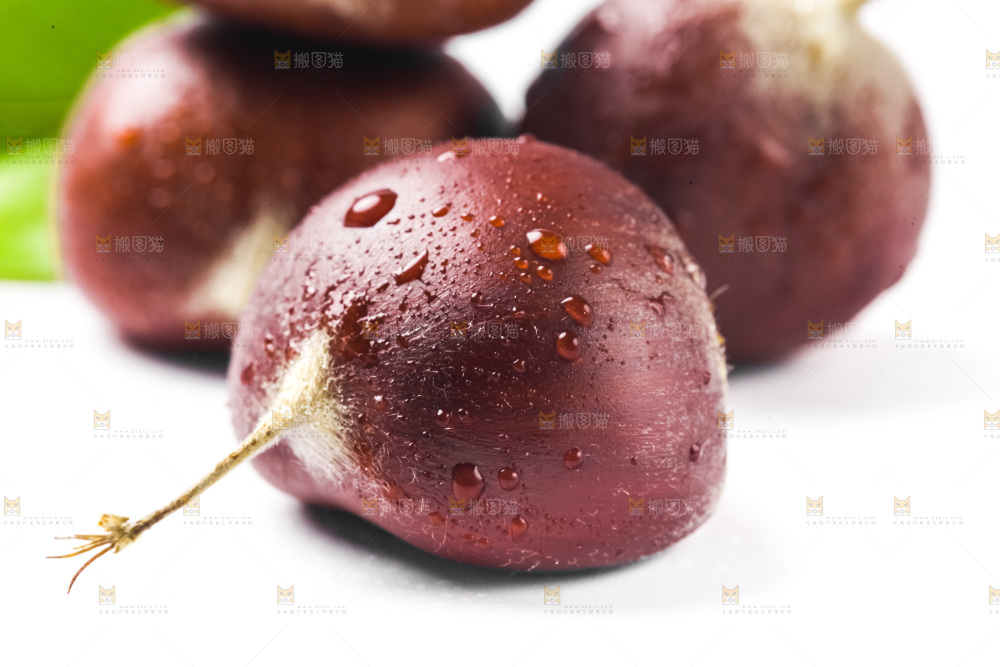 板栗