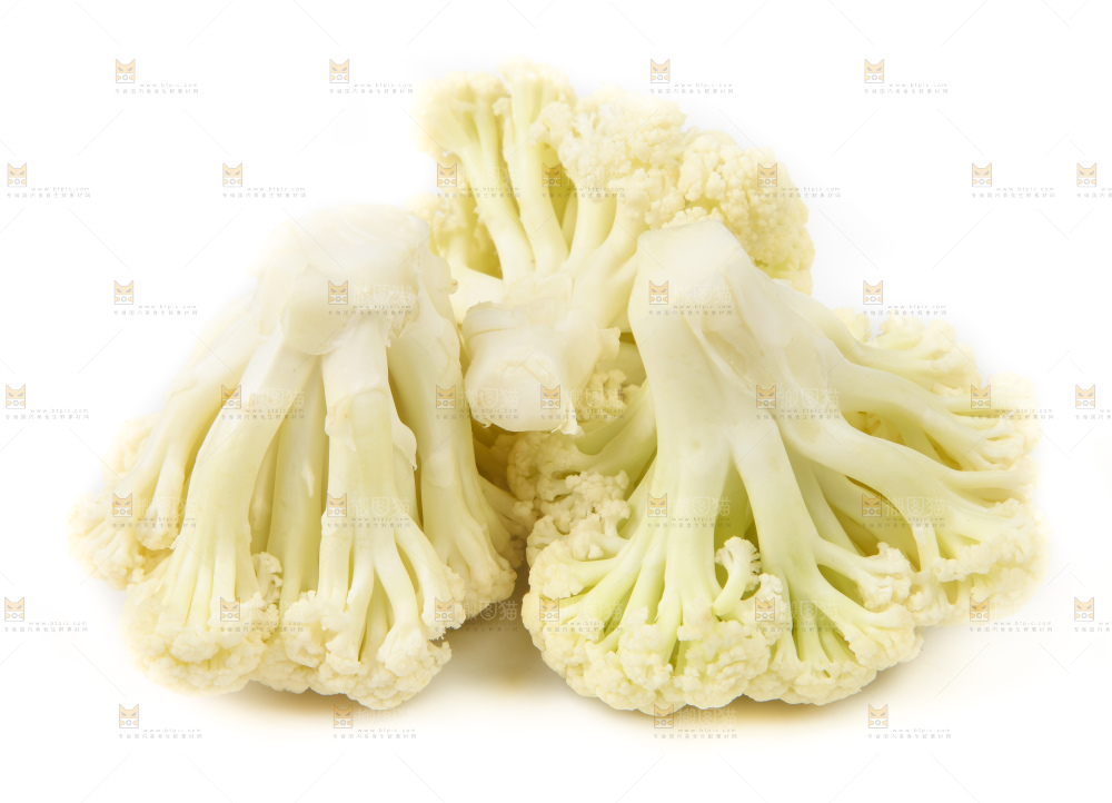 白底上的白花菜