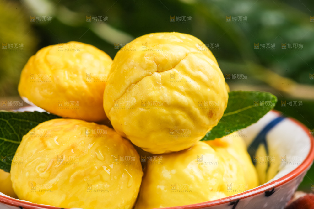 板栗