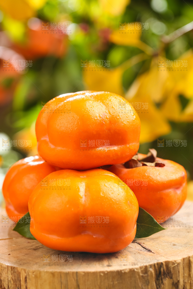 木板上放着易县磨盘柿