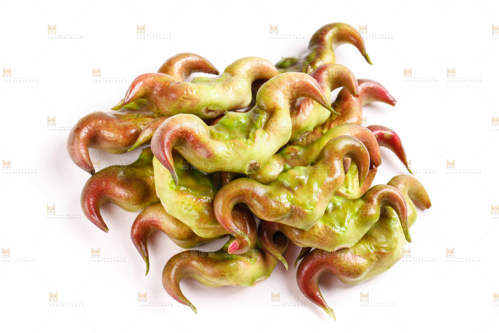 浅底上放着洪湖菱角