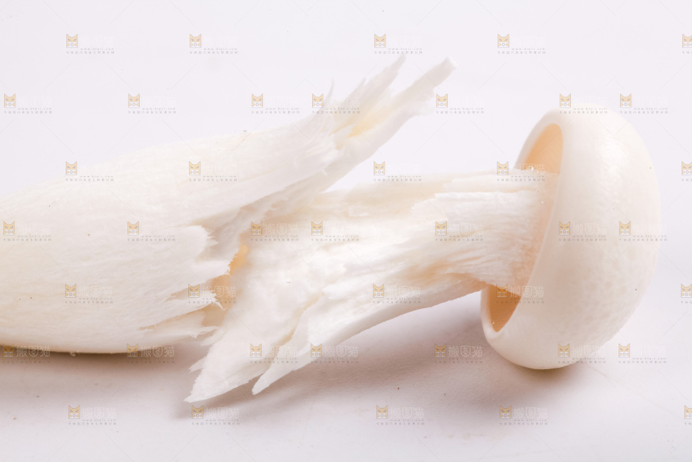 白底上放着白玉菇