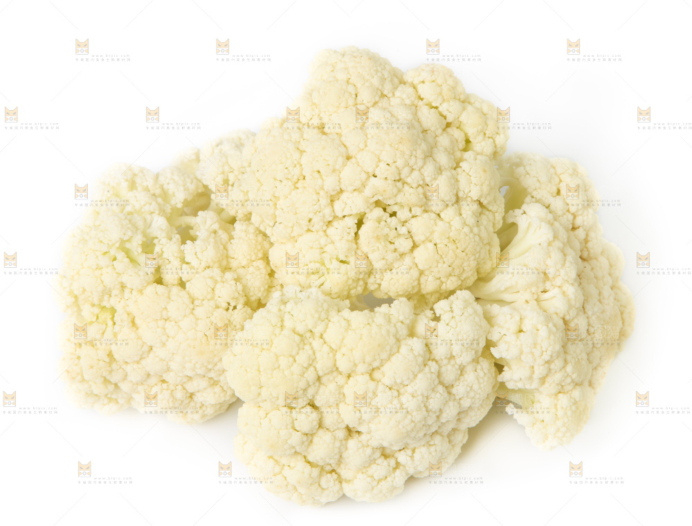 白底上的花菜